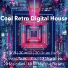 Cool Retro Digital House