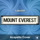 Mount Everest - Labrinth - Acapella Cover