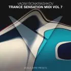 Trance Sensation Midi Vol. 7 [Bonus Spire Presets]