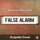 False Alarm (Matoma & Becky Hill) - Acapella Cover