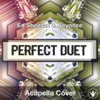 Perfect Duet (Ed Sheeran & Beyonce) - Acapella Cover
