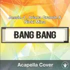Bang Bang (Jessie J , Ariana Grande & Nicki Minaj) - Acapella Cover