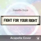 Fight For Your Right (Beastie Boys) - Acapella Cover