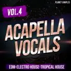 Acapella Vocals Vol.4