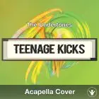 Teenage Kicks (The Undertones) - Acapella Cover