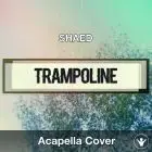 A Capella SHAED Trampoline