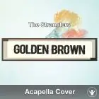 Golden Brown (The Stranglers) - Acapella Cover