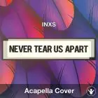 Never Tear Us Apart (INXS) - Acapella Cover