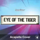Eye Of The Tiger (Survivor) - Acapella Cover