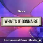 Shura - What's It Gonna Be? (Instrumental Cover)