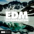 EDM Moombahton w
