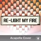 Re-light My Fire (Take That & Lulu) - Acapella Cover