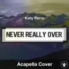 Never Really Over (Katy Perry) - Acapella Cover