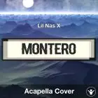 MONTERO (Call Me By Your Name) (Lil Nas X) - Acapella Cover