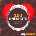100 Oneshots