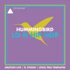 Hummingbird - Bitwig Template