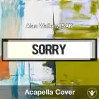 Sorry (Alan Walker, ISÁK) - Acapella Cover