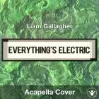 Everything's Electric - Liam Gallagher - Acapella Cover