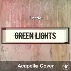 Green Light (Lorde) - Acapella Cover