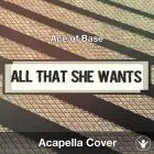 All That She Wants (Ace of Base) - Acapella Cover