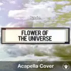 Flower Of The Universe (Sade) - Acapella Cover