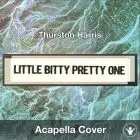 Little Bitty Pretty One (Thurston Harris) - Acapella Cover