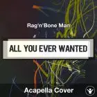 All You Ever Wanted (Rag'n'Bone Man) - Acapella Cover