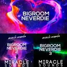 Bigroom neverdie Bundle