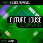 Surge Sounds - Future House for Serum