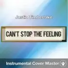Justin Timberlake - Can't Stop The Feeling! (Instrumental Cover)