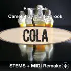 Camelphat & Elderbrook - Cola Full STEMS + MIDI Cover 