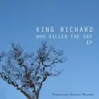 Richard King - Who Killed The Gay (Yan Remix)