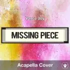Missing Piece - Vance Joy - Acapella Cover