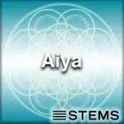 Audio Stems - Aiya Score Stems