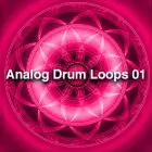 Analog Drum Loops 01 - Sounds