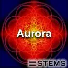 Audio Stems - Aurora STEMS