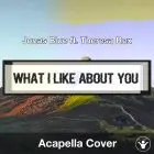 What I Like About You (Jonas Blue ft. Theresa Rex) - Acapella Cover