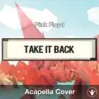 Take It Back (Pink Floyd) - Acapella Cover