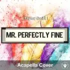 Mr. Perfectly Fine (Taylor Swift) - Acapella Cover