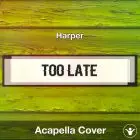 Too Late (Harper) - Acapella Cover