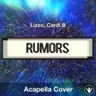 Rumors - Lizzo, Cardi B - Acapella Cover