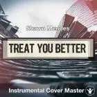 Shawn Mendes - Treat You Better (Instrumental Cover)