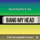 A Capella David Guetta ft. Sia - Bang My Head
