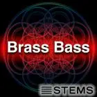 Audio Stems - Brass Bass STEMS  And Mastering Session