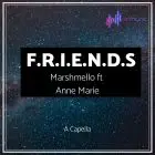  A Capella - Marshmello ft Anne Marie F.R.I.E.N.D.S.Cover