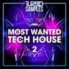 Most Wanted Tech House 2