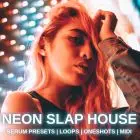 Slap Mainroom Tech House