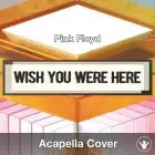 Wish You Were Here (Pink Floyd) - Acapella Cover