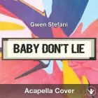 Baby Don't Lie (Gwen Stefani) - Acapella Cover