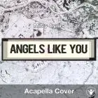 Angels Like You (Miley Cyrus) - Acapella Cover